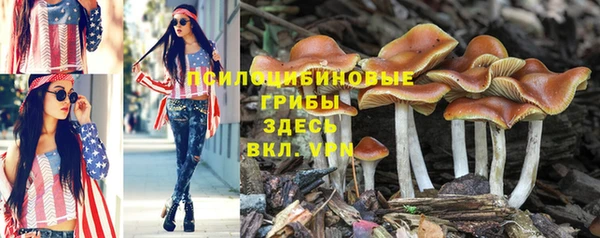 наркотики Богородск
