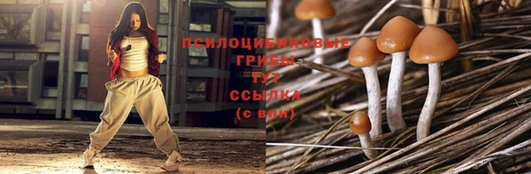 скорость mdpv Богородицк