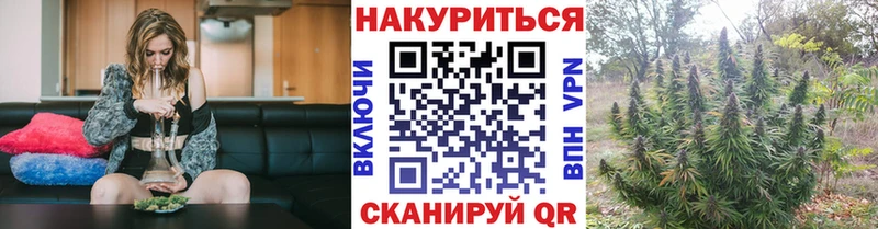 где продают   Гай  Бошки Шишки конопля 